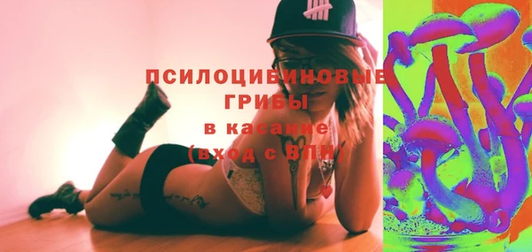 МДПВ Алексеевка
